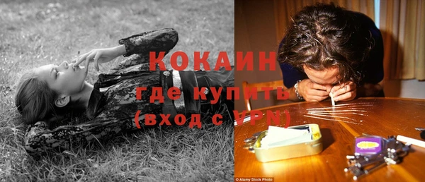 трава Наволоки