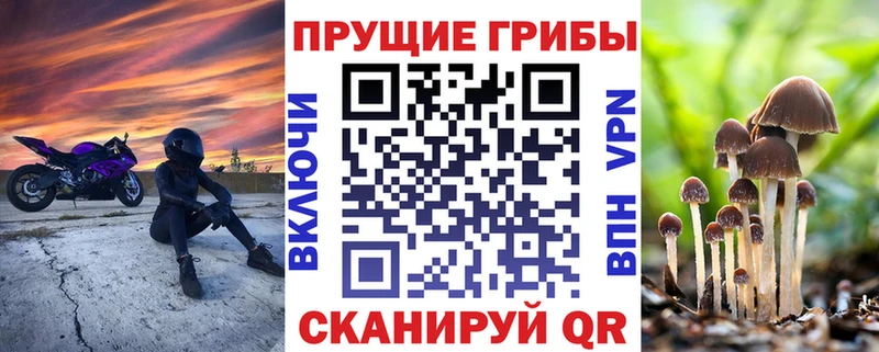 купить   blacksprut маркетплейс  Галлюциногенные грибы ЛСД  Сычёвка 
